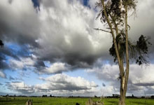 2025超级碗中场秀 拉马尔炸裂演绎“烤鸭”神曲燃爆巅峰舞台.