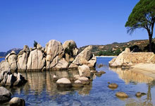 乐天堂体育：2024年世界泳联游泳世界杯新加坡站 本月底展开.